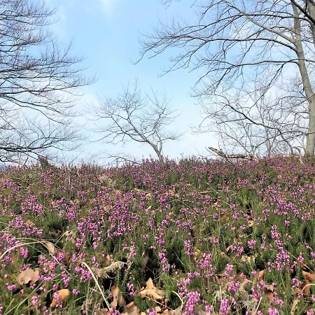 Hébergement de vacances Angel Boutique