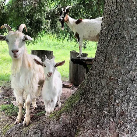 Angel Boutique * Laško