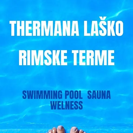 Angel Boutique - Entire Premium House Tatil Evi Laško