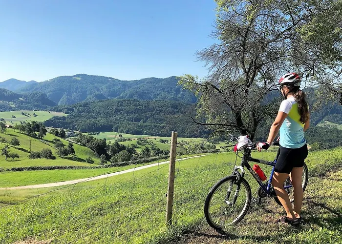 Angel Boutique - Entire Premium House Laško