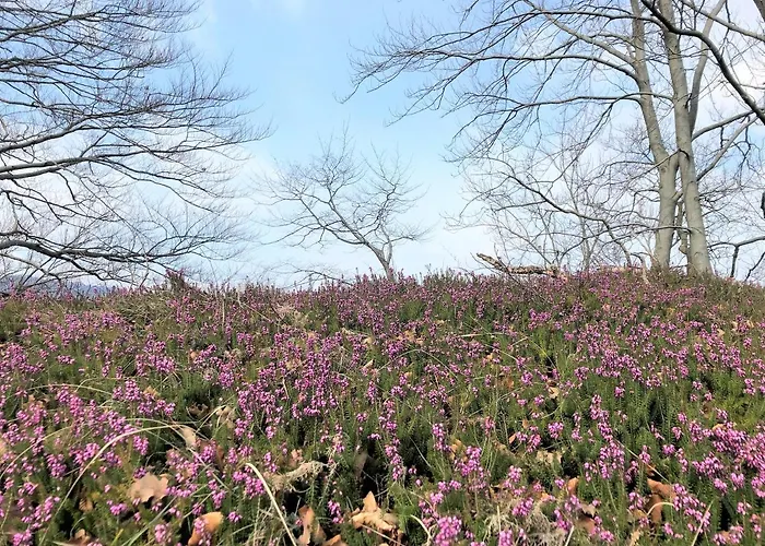 Casa vacanze Angel Boutique - Entire Premium House