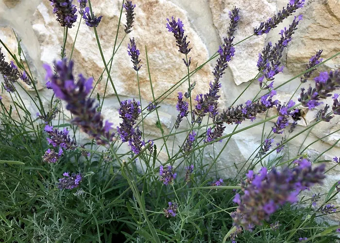 Angel Boutique - Entire Premium House Nyaraló Laško